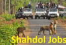 Job In Shahdol