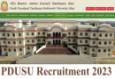 PDUSU Recruitment 2023 – पंडित दीनदयाल उपाध्याय यूनिवर्सिटी में विभिन्न पदों पर भर्ती
