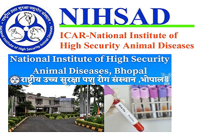 MP NIHSAD Recruitment