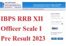 IBPS RRB XII Officer Scale I Pre Result 2023