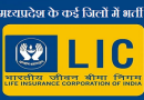 MP LIC Vacancy 2024 – मध्य प्रदेश के कई जिलों में भारतीय जीवन बीमा निगम में भर्ती, योग्यता- 10वीं/12वीं/ग्रेजुएशन