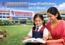 Vidhyapeeth Group Of Institutions Job In Bhopal