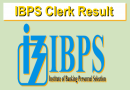 IBPS Clerk 13th Final Result 2024