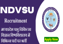 MP NDVSU Recruitment 2024 – मध्य प्रदेश पशु चिकित्सा विज्ञान विश्वविद्यालय में भर्ती, भोपाल, जबलपुर, महू, रीवा और मुरैना के लिए