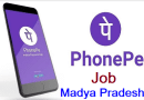 Phonepe Jobs in MP