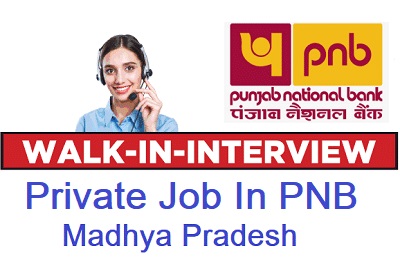 Private Job In PNB