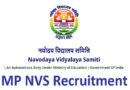 Mp Nvs Recruitment