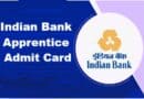 Indian Bank Apprentice Admit Card