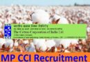 MP CCI Recruitment