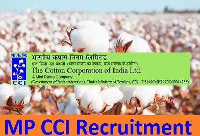 MP CCI Recruitment