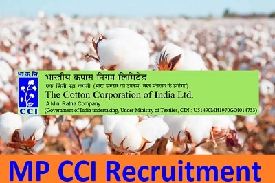 MP CCI Recruitment