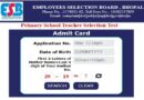 MP Primary School Teacher Admit Card