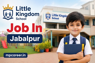 Little Kingdom School Job In Jabalpur