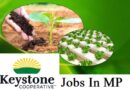 Keystone Cooperative Jobs In MP