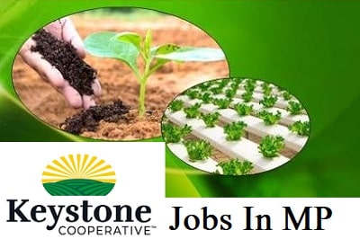 Keystone Cooperative Jobs In MP
