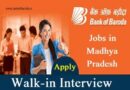 Private Jobs In Bank Of Baroda Mp