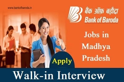 Private Jobs In Bank of Baroda MP
