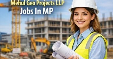 Mehul Geo Projects Llp Jobs In Mp