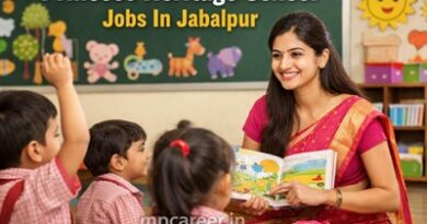 Princess Heritage School Jobs In Jabalpur