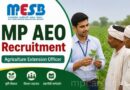 Mp Aeo Recruitment